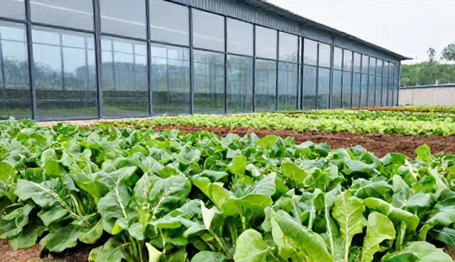绿色种植中生态农业开发的选型与维护建议